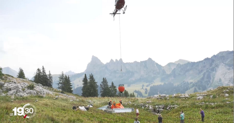 Asséchés par la canicule, les alpages sont ravitaillés en eau par les airs - rts.ch