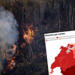 Comment la Suisse gère le risque accru de feux de forêt - rts.ch