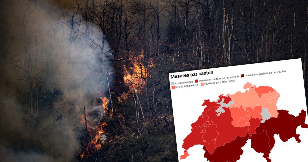 Comment la Suisse gère le risque accru de feux de forêt - rts.ch