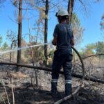 Douze pompiers genevois ont lutté contre les feux de forêt en Gironde