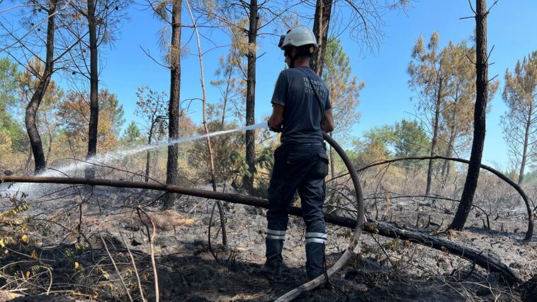 Douze pompiers genevois ont lutté contre les feux de forêt en Gironde