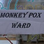 La ville de New York demande de rebaptiser la variole du singe, un nom jugé stigmatisant