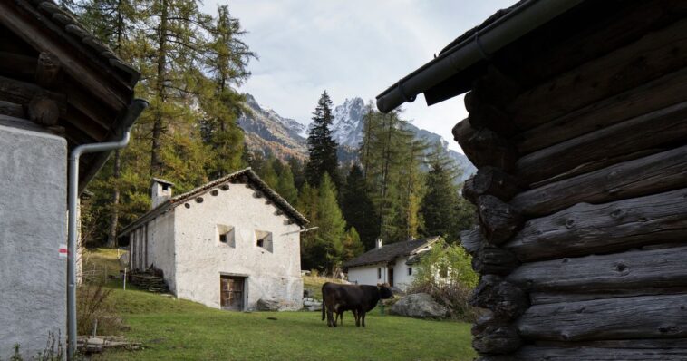 Les offres d'agritourisme sont encore peu rentables en Suisse, révèle une étude - rts.ch