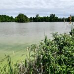 Les pires lacs du Québec: le gouvernement joue à l’autruche, selon un chercheur