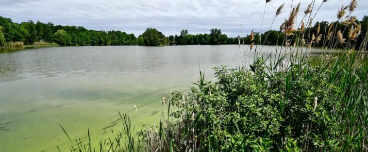 Les pires lacs du Québec: le gouvernement joue à l’autruche, selon un chercheur