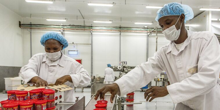 Quel bilan pour l’usine Cémoi, petit Poucet de l’or brun ivoirien ? – Jeune Afrique