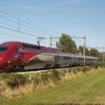 chaos dans les gares après un choc entre un train et un animal