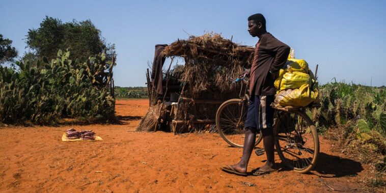 comment le covid-19 et la sécheresse ont créé une situation de crise inédite – Jeune Afrique
