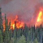 Colombie-Britannique: une recrudescence des feux de forêt en août