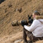 Isabelle Germanier: "Les effectifs de loups augmentent de manière exponentielle" - rts.ch