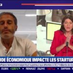 Startups: L'emploi résiste mieux en France