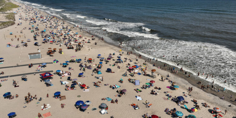 Sur les plages de Long Island, la présence des requins ne refroidit pas tous les baigneurs