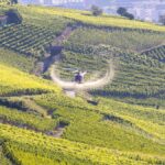 Traitement des vignes: Fin de saison pour l’épandage par hélicoptère