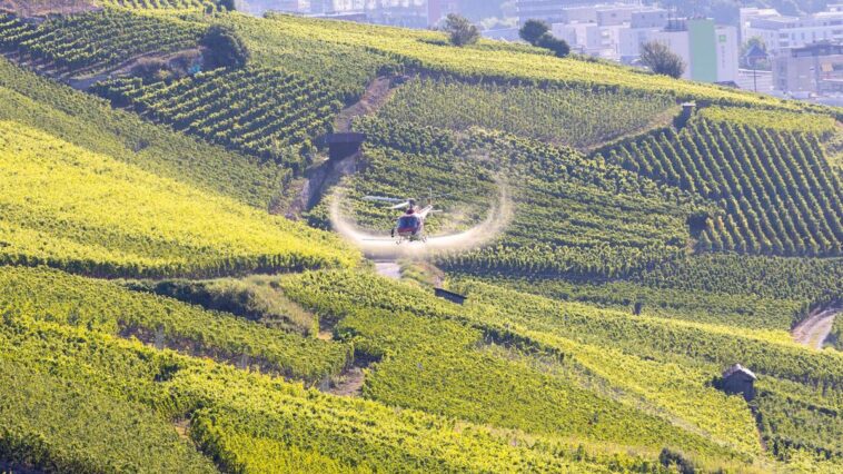 Traitement des vignes: Fin de saison pour l’épandage par hélicoptère