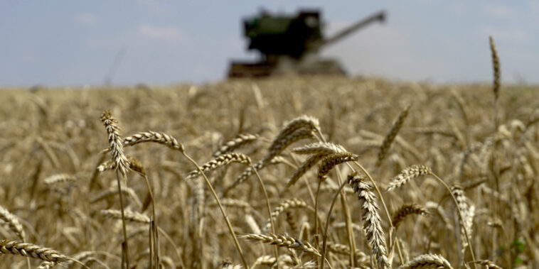 le premier chargement de céréales ukrainiennes est attendu «après minuit»