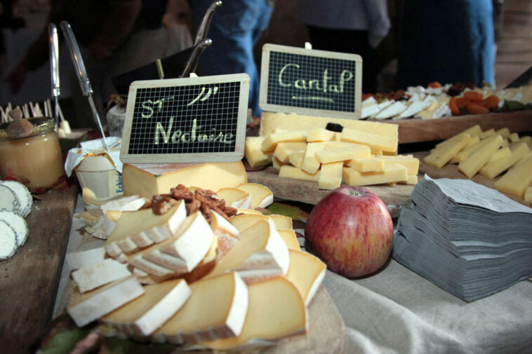 Dans le Cantal, un été difficile pour les producteurs de salers et de saint-nectaire