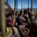 En Afrique du Sud, une « danse des roseaux » sur fond de guerre de succession au trône zoulou