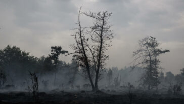 "L'angoisse" des habitants de Gironde évacués après un nouvel incendie