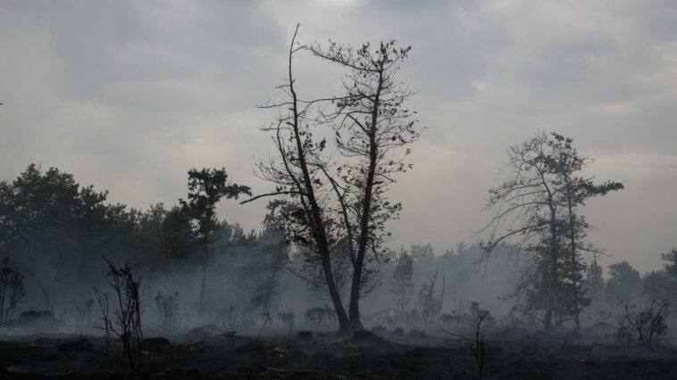"L'angoisse" des habitants de Gironde évacués après un nouvel incendie