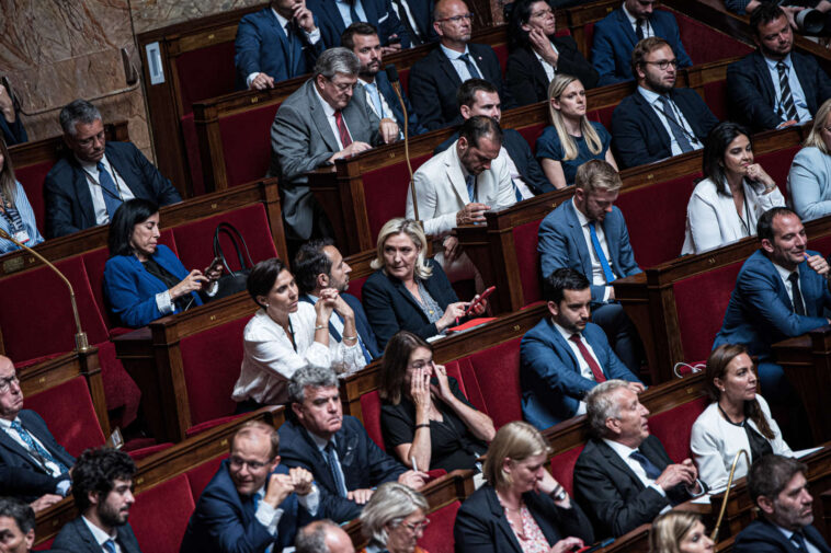 « Le simple fait pour une opposition radicale de devenir une opposition parlementaire ne suffit pas à garantir qu’elle sert le système »