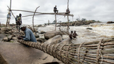 RD Congo : les pêcheurs acrobates veulent développer le tourisme autour des chutes Wagenya