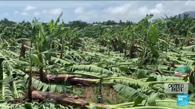 Tempête tropicale Fiona : la Guadeloupe se relève tant bien que mal