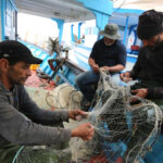 A Zarzis, les pêcheurs tunisiens en première ligne face aux naufrages de migrants