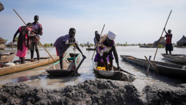 Au Soudan du Sud, plus de 900 000 personnes affectées par des inondations