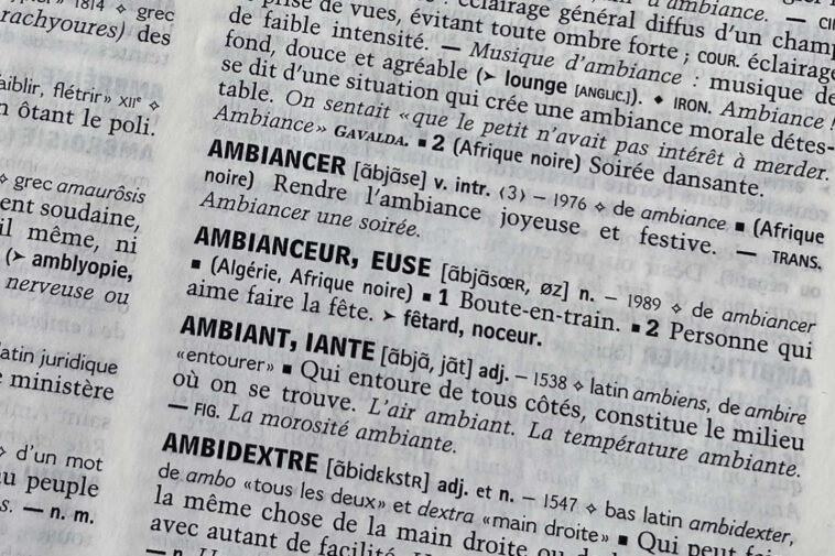 « Brouteur », « go », « boucantier », « ambianceur », « s’enjailler »… l’argot ivoirien à saute-frontière