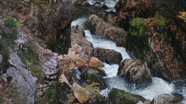 Canton de Neuchâtel: Une femme et son chien décédés après une chute dans les gorges de l’Areuse