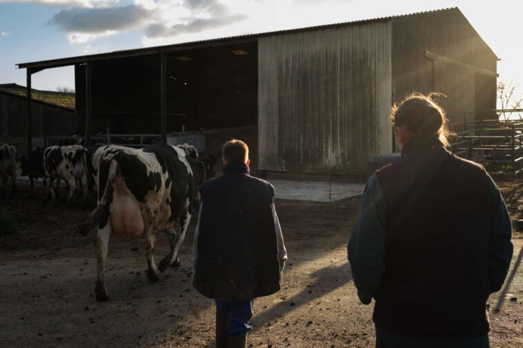 Coup de frein au recrutement de nouveaux agriculteurs bio