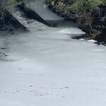 Courtepin (FR): Environ 180 truites sont mortes dans un ruisseau pollué