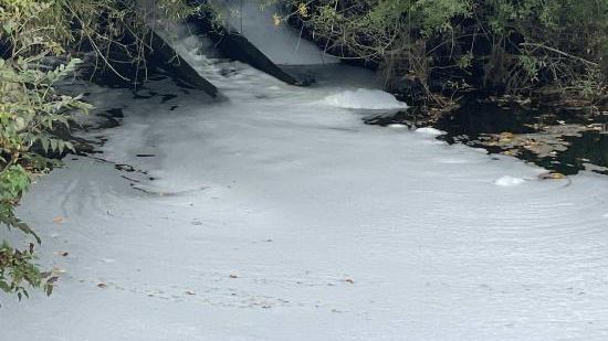 Courtepin (FR): Environ 180 truites sont mortes dans un ruisseau pollué