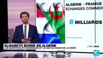 Élisabeth Borne et son gouvernement veulent renforcer les liens économiques avec Alger