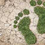 Empreinte carbone : 5 outils pour estimer votre impact environnemental