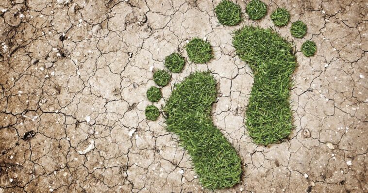 Empreinte carbone : 5 outils pour estimer votre impact environnemental