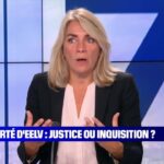 Julien Bayou écarté d'EELV: justice ou inquisition ?