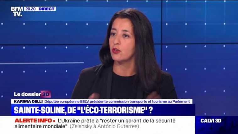 Karima Delli: "L'écologie est forcément radicale, parce qu'elle veut un autre modèle"