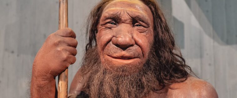 L’ADN de Néandertal pourrait être lié au tabagisme et à la consommation d’alcool, selon une étude
