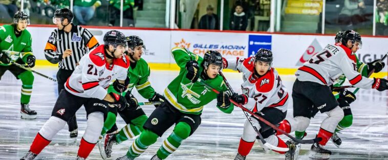 LHJMQ: la première bataille de la 117 aux Foreurs