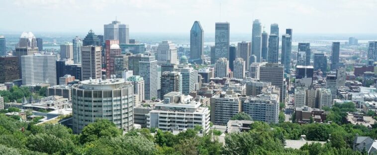 Le Grand Montréal demande au gouvernement d’agir rapidement pour protéger ses espaces verts