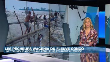 Les Wagenia, pêcheurs de l'extrême dans les rapides du fleuve Congo