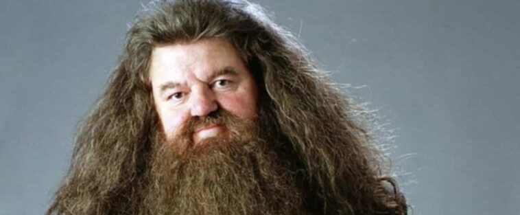L'interprète de Hagrid dans «Harry Potter», Robbie Coltrane, est décédé