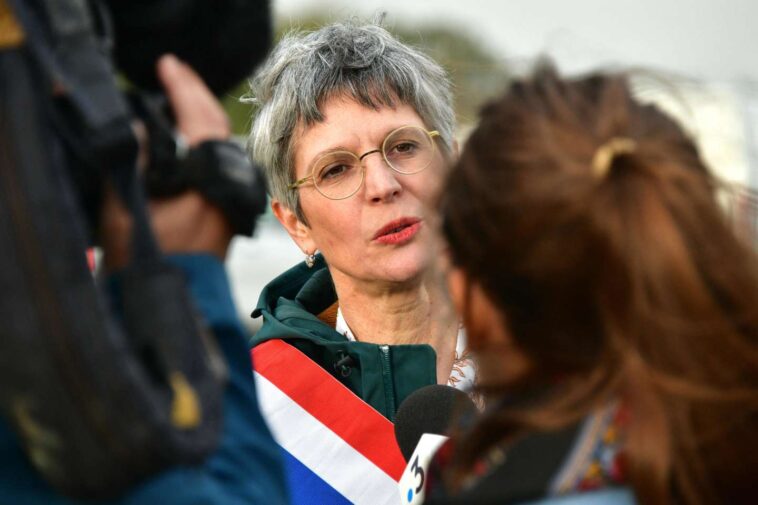 Manifestation interdite contre les « mégabassines » : les écologistes se divisent sur la méthode