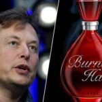 “Merci d'acheter mon parfum pour que je puisse acheter Twitter”: la dernière blague d’Elon Musk