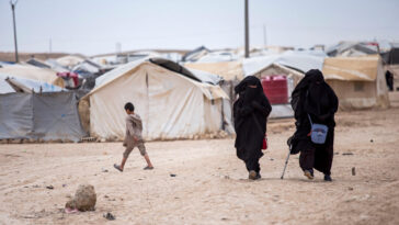 Une femme et ses deux enfants retenus dans un camp en Syrie rapatriés en France