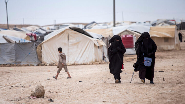 Une femme et ses deux enfants retenus dans un camp en Syrie rapatriés en France