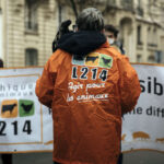 adoption surprise en commission d’un amendement ciblant les associations de protection animale