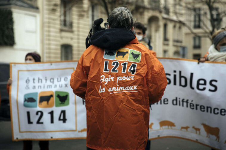 adoption surprise en commission d’un amendement ciblant les associations de protection animale