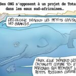 environnement vs développement ? – Jeune Afrique